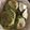 クックPX4GUB☆'s cooksnap of when they made ヨーグルト消費もちもちかぼちゃパンケーキ.