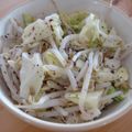 Nekozame's cooksnap of when they made ☆即効あと１品！もやしきゃべつゆかり和え.