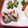 Match's cooksnap of when they made みょうがのおむすび♥.