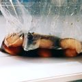 にわとりホリデー's cooksnap of when they made 超簡単！半熟なのにたれない絶妙煮玉子.