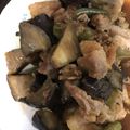 nessa1's cooksnap of when they made 鶏肉となすピーマンのポン酢しょうが炒め.