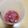 ＊実月＊'s cooksnap of when they made ❤️酢紫玉ねぎ❣️.