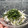 まのちゃんママ's cooksnap of when they made ちょこっとおつまみ♡釜揚げしらす.