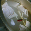 はっさく大福839's cooksnap of when they made たけのこの煮かた☆.