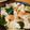 koara☺'s cooksnap of when they made ちくわと叩き胡瓜の塩昆布キャベツ和え.