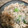 saki1010's cooksnap of when they made 簡単！卵炒飯♡.