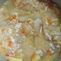 Felizみかさんち's cooksnap of when they made 子どもも大好き！麻婆冬瓜！.