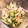 ぶりこんぶ's cooksnap of when they made ＊さといものポテサラ＊.