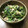 ぶぅとん亭's cooksnap of when they made ほうれん草とツナおかか和え！.