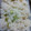 Kate0505's cooksnap of when they made 豆の食感と旨味がいい☆枝豆ごはん.