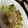 no1642's cooksnap of when they made レタスとカニカマの中華風炒め.