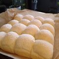 sunappy's cooksnap of when they made まるで白い雲。ふわふわカルピスちぎりパン.