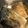 クックHJPQ9C☆'s cooksnap of when they made 小料理屋直伝！ ＊鯖の味噌煮＊.