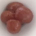 ma___111's cooksnap of when they made ミニトマトのハニーマリネ.