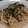 taraking's cooksnap of when they made そうめんのツナ塩こんぶ和え.