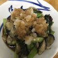 ねおみ's cooksnap of when they made 茄子とほうれん草のおろし添え.