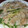 クックVOY1Q3☆'s cooksnap of when they made 水菜と豚バラがあれば！巻かない蒸し焼き.