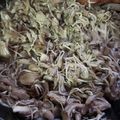 ちゃーん♪'s cooksnap of when they made 旦那絶賛☆きのこアンチョビ・ソテー♡.
