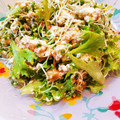 かわゆう1211's cooksnap of when they made 豆苗と桜えびの白和え.