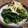 料理男子部's cooksnap of when they made つるむらさきと油揚げのおひたし.