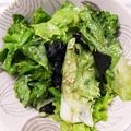 まーぼーちゃん's cooksnap of when they made サニーレタスとダシダで韓国風サラダ.