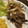 四児のハハ's cooksnap of when they made ファヒータ風肉と野菜の炒め物.