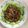 クックPD39MF☆'s cooksnap of when they made 落葉きのこのオイスターソース炒め.