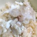 ゴロtaroo's cooksnap of when they made 炊飯器で、簡単☆鯛めし.