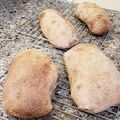 amoni's cooksnap of when they made カンパーニュ（クルミ・いちじく）.