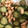 a0024755's cooksnap of when they made 簡単！蒸し大豆で海苔の佃煮と胡瓜の和え物.