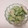 ねこ神様's cooksnap of when they made ゴーヤの明太マヨ和え.