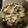 クックNP9ISV☆'s cooksnap of when they made ブリカマでぶり大根.