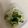 もっちちー's cooksnap of when they made きゅうり塩昆布和え.