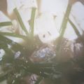 どみんごちゃん's cooksnap of when they made 頭が良くなる◎サバ缶と豆腐の煮物.