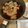 よしみゆき's cooksnap of when they made 鮭白子の煮付け.