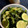 Tklsin's cooksnap of when they made 簡単！ワカメとキュウリの酢の物.