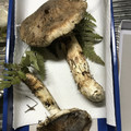 クックYTOCXT☆'s cooksnap of when they made 松茸の茶碗蒸し.