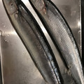 ☆yuyuneko☆'s cooksnap of when they made さんまの塩焼き下処理.