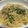 美緒玲＠女子力アップ's cooksnap of when they made * 豚肉と長葱の塩だれレモンのパスタ *.