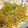 クックLYZEGY☆'s cooksnap of when they made 激安☆絶品！居酒屋風もやし炒め[超簡単].