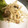 水玉ぱじゃま's cooksnap of when they made 簡単安い、もやしとブナシメジのレンジ蒸し.