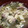 ★ほのどんママ★'s cooksnap of when they made 簡単☆へちまの味噌汁.