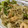 ｼ毎月's cooksnap of when they made 中華風海鮮ビーフン炒め.