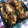 クックGY5CNI☆'s cooksnap of when they made ささみ揚げ♫オイケチャだれの葱ゴマまみれ.