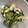 ポメちょん's cooksnap of when they made ちくわときゅうりの和風ごまナムル.
