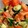 aimama035's cooksnap of when they made 簡単！ツナとトマトときゅうりの中華和え.