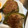 わたるんママ's cooksnap of when they made ピーマンの肉詰め.