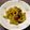 ☆あいちゃん's cooksnap of when they made オイスターソース+酢deゴーヤの漬物.
