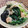 料理男子部's cooksnap of when they made エビと小松菜と生キクラゲの中華炒め.