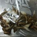 こよんた's cooksnap of when they made まいたけの冷凍.